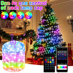 USB App Control Christmas String Light