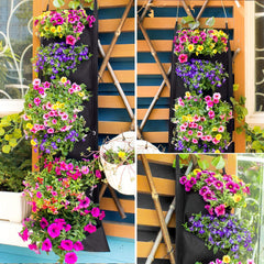 Vertical Hanging Garden