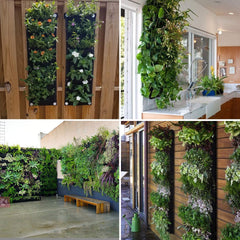 Vertical Hanging Garden